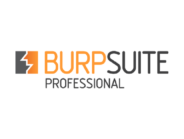 Burpsuite